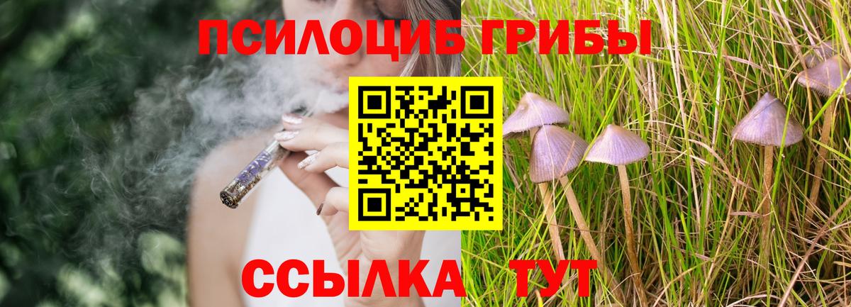 Галлюциногенные грибы GOLDEN TEACHER  купить закладку  Гурьевск  Галлюциногенные грибы мухоморы  Вход с VPN 