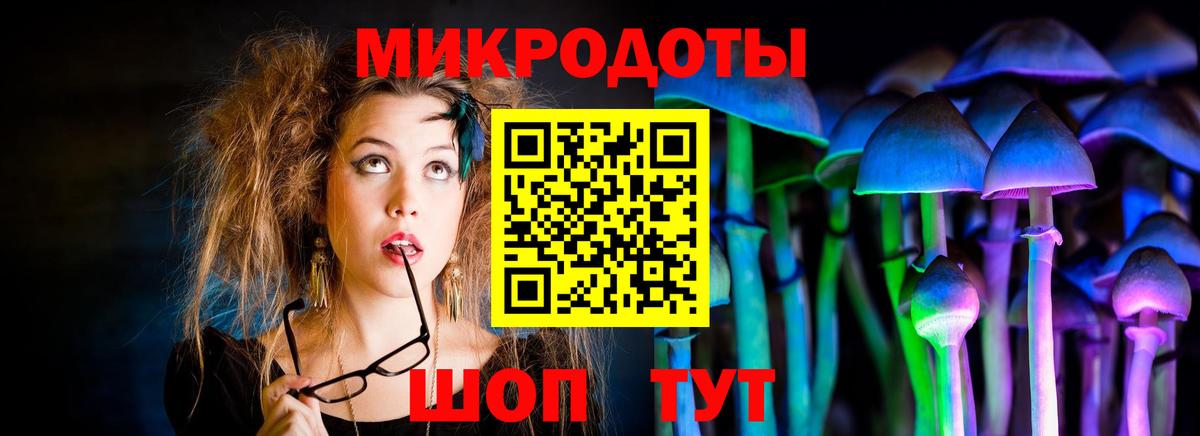 Галлюциногенные грибы прущие грибы Гурьевск